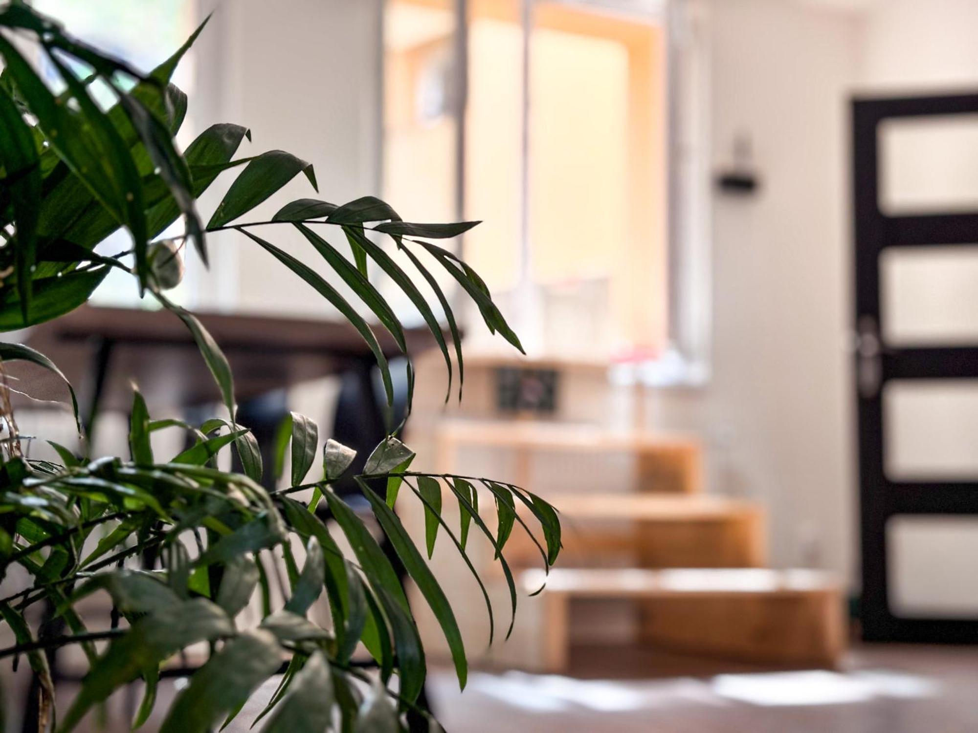 Remote Work Friendly Zahradni Apartman U Jezera สตาเร สปลาวี ภายนอก รูปภาพ